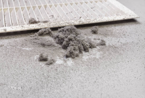 Best HVAC Duct Inspection Services  in Beechwood, MS